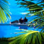 Paradise Resort Taveuni