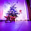 Bory6a Apartamenty & Free Parking