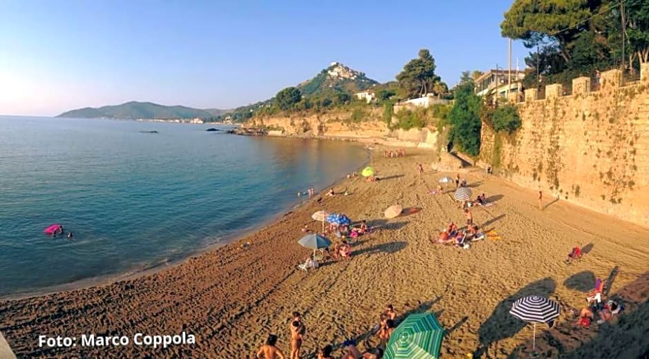 Quasi in Porto Rooms