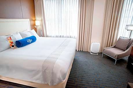Premium, Guest room, 1 King
