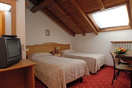 Double or Twin Room - Attic