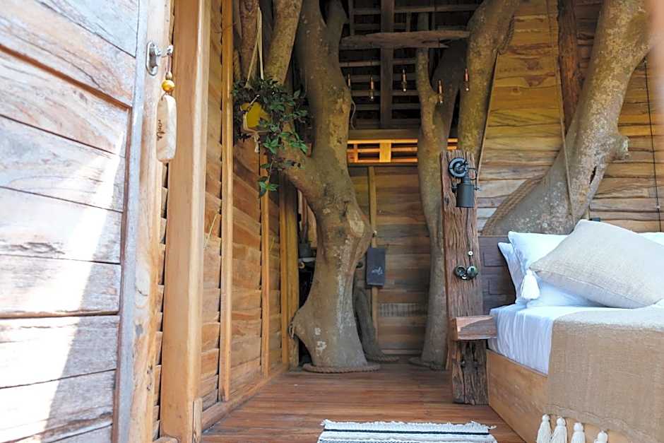 Roots Tree House