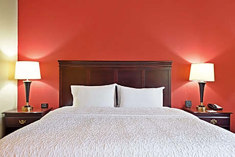 1 King W/Fridge/Microwave Nonsmoking