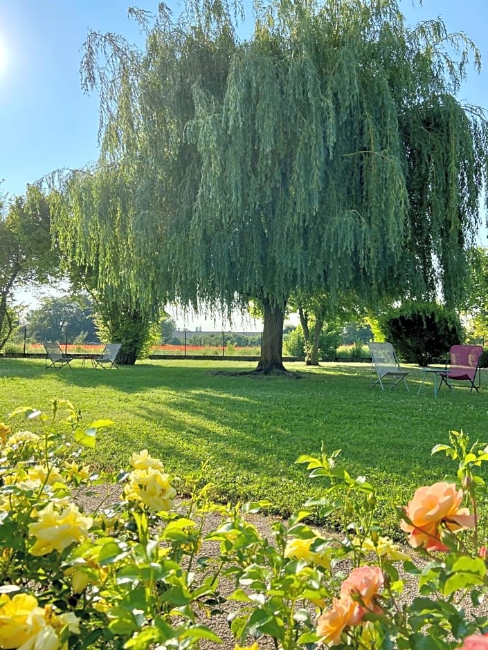 Hotel l'Orée Des Vignes