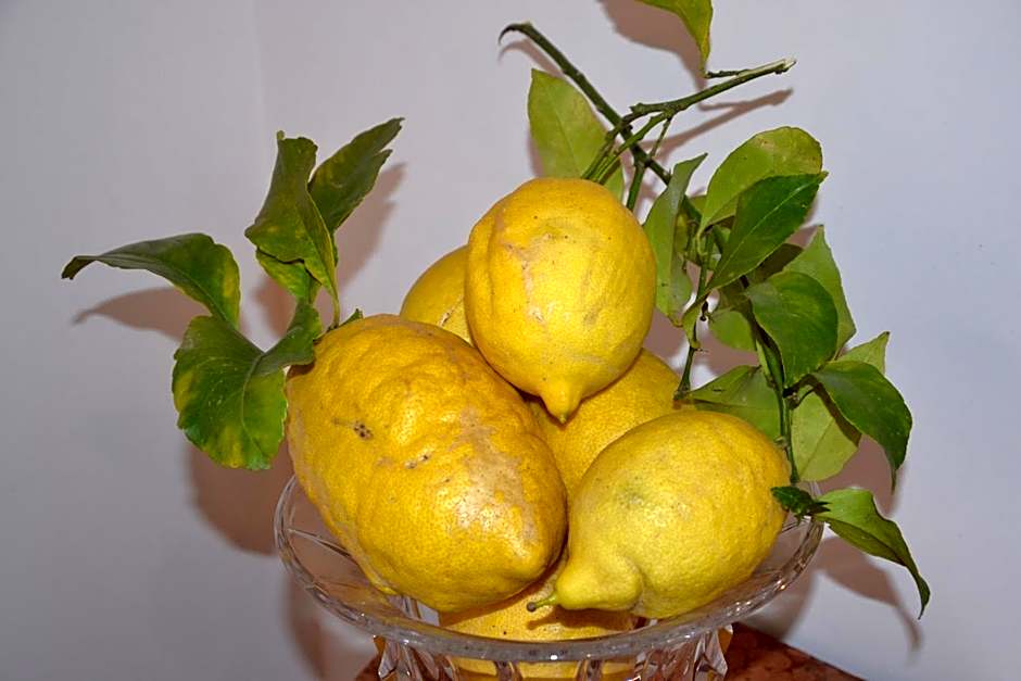 Terra Murata Boutique b&b