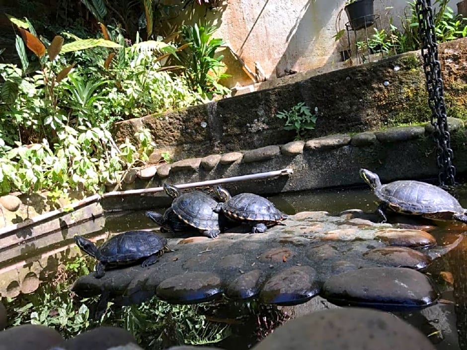 Pousada Flor de Canela