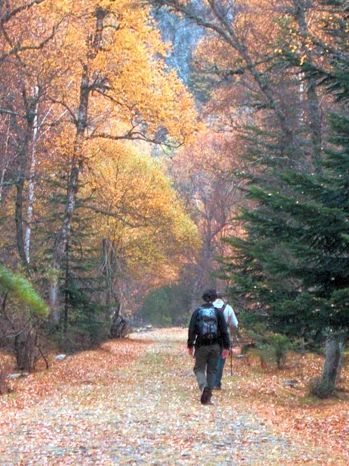 Hotel Llacs De Cardos