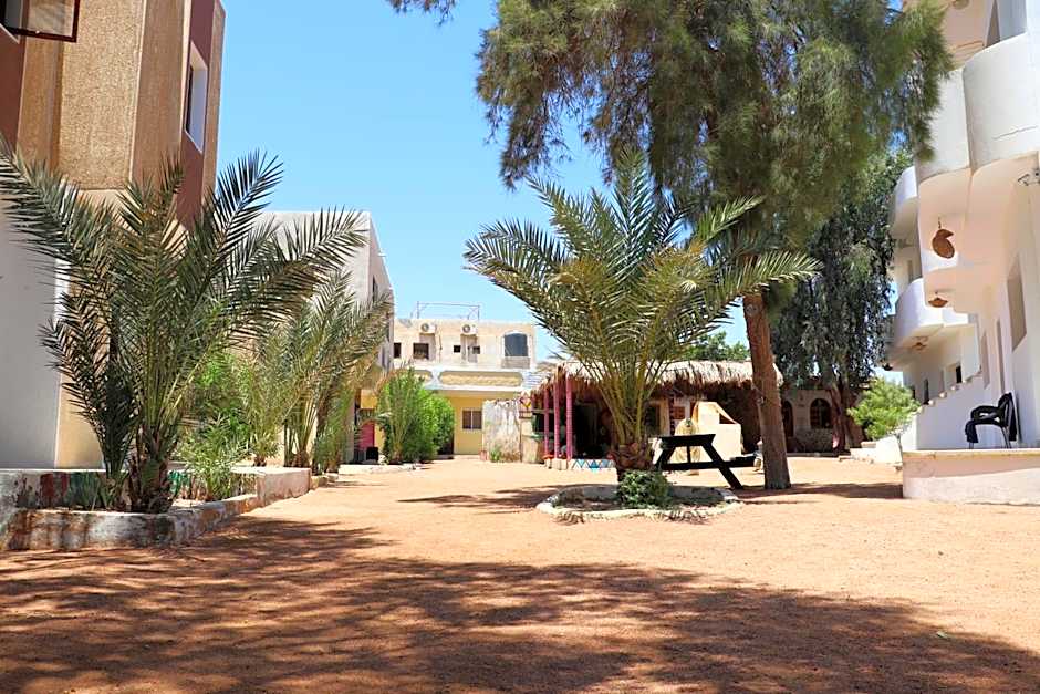 Oasis Fighting Kangaroo