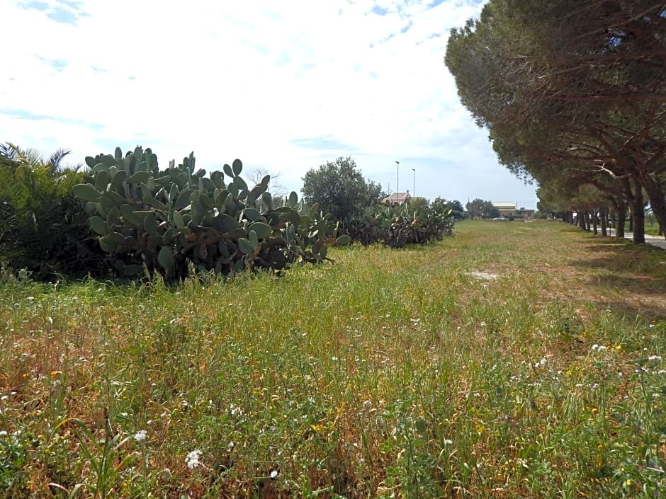 Turtle Island Apartments