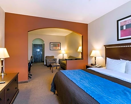 Suite with 1 King bed and Sofabed - No Smoking