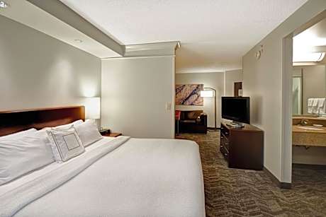 Studio, King, Sofa bed (Mobility &amp; Hearing Accessible w/ Roll-in Shower)