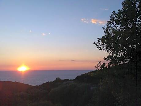 Quadruple Room with Terrace and Sea View