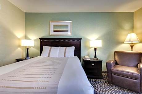 Queen Bed Accessible Non-Smoking