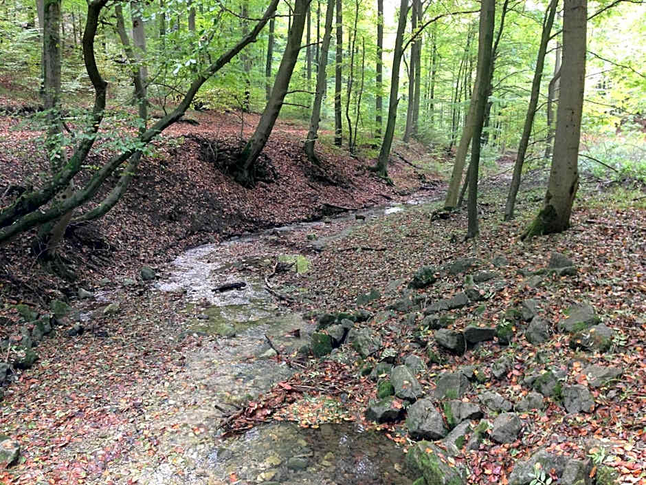 Waldhotel Porta Westfalica