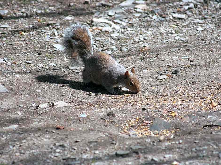 The Old School House Bed and Breakfast