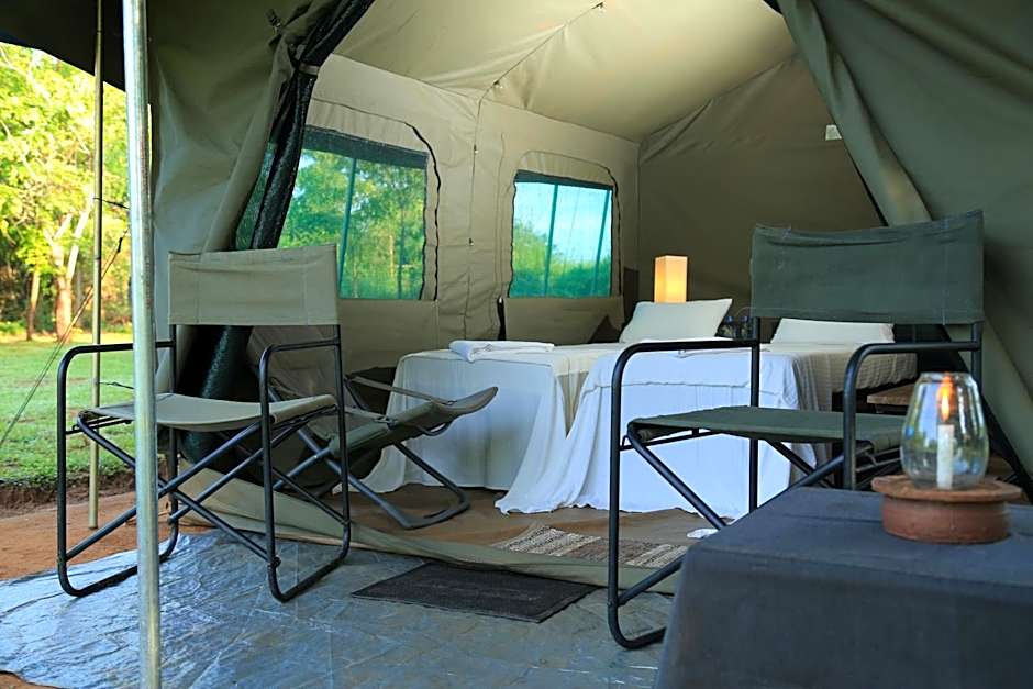 Big Game Yala - by Eco Team