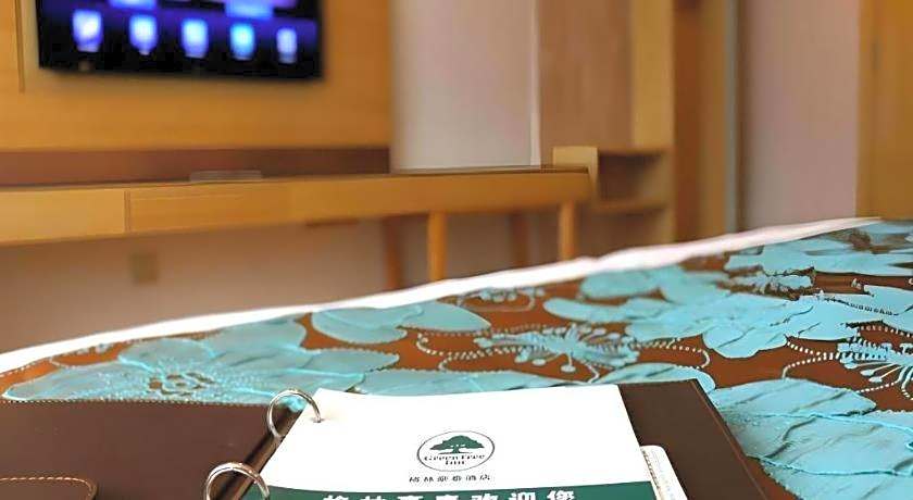 GreenTree Inn Urumqi Airport Tianyi International City