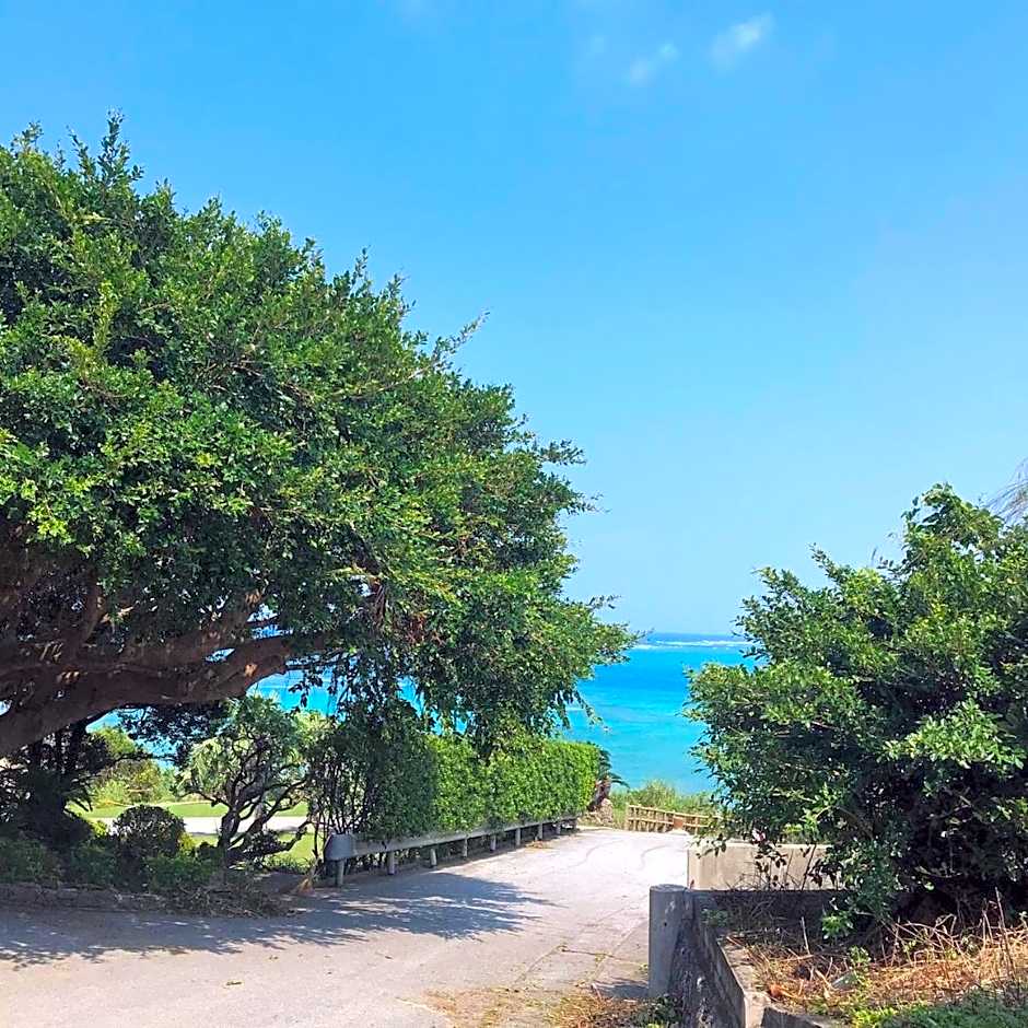 Blue Steak Wonder Nagahama