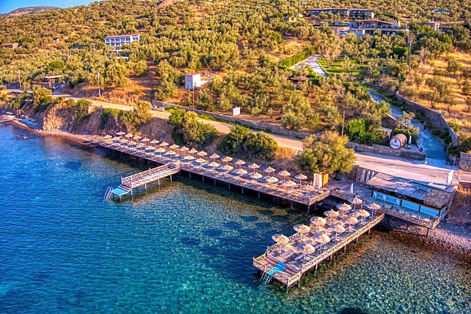Assos Dionysos Special Class Hotel Adults Only 12 years