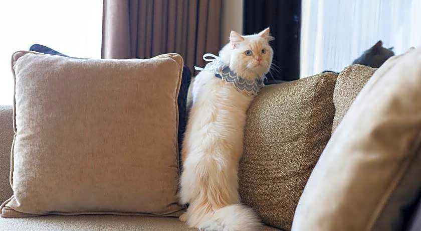 DoubleTree By Hilton Sukhumvit Bangkok