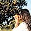 Quinta da Luz - A Luxury Boutique B&B