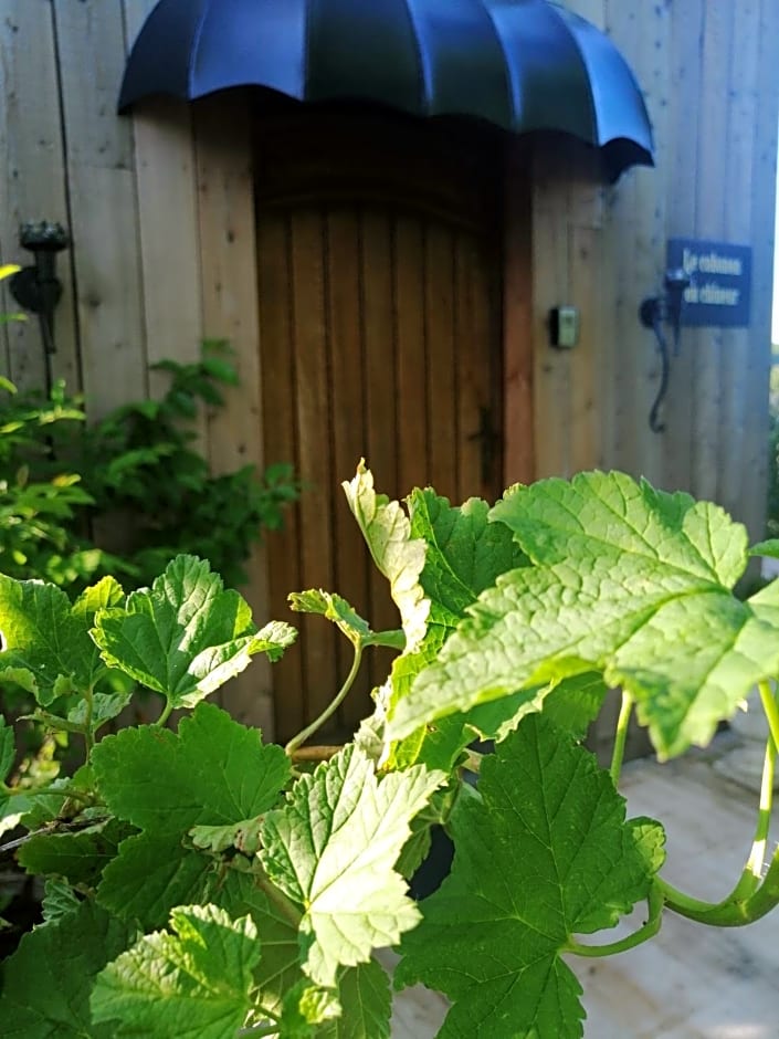 La cabane du chineur