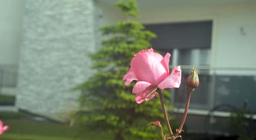 B&B La Rosa dei Venti