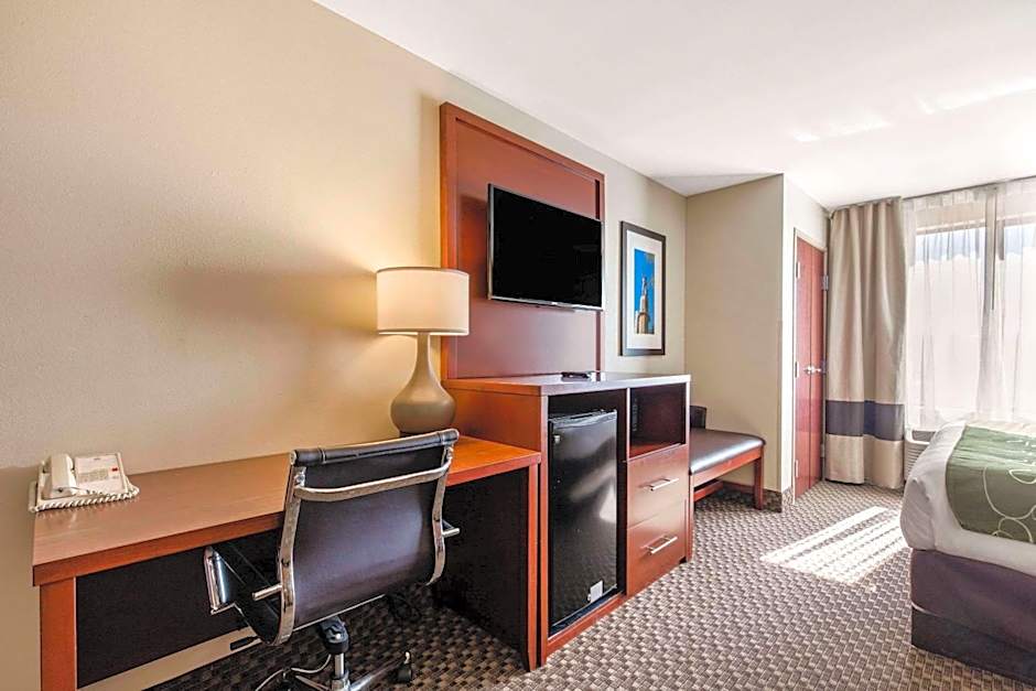 Comfort Suites Tuscaloosa near University