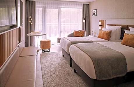 Double or Twin Comfort Room