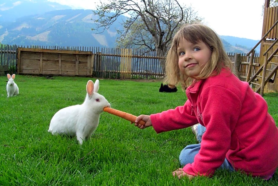 Ferienhaus Lärchenhütte