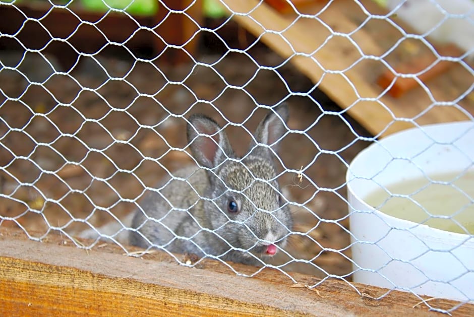 B&B dalla fattoria della Patty