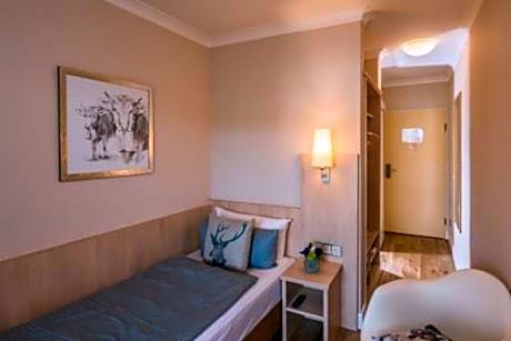 Comfort Single Room with Balcony