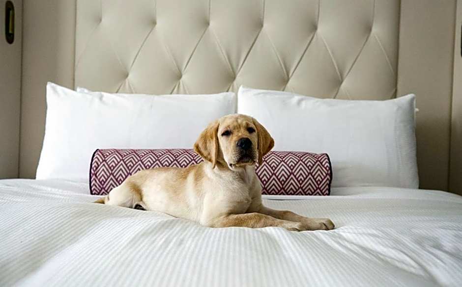 Fairmont Washington DC Gold Experience