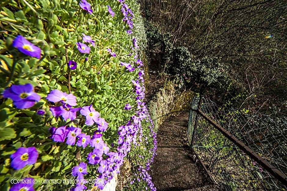 B&B Il Balcone sul Lago