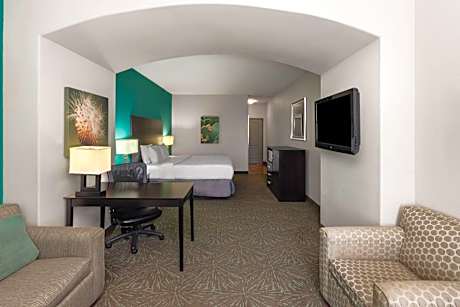 King Suite with Mobility Access and Bathtub with Grab Bars, Non-Smoking