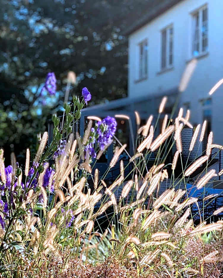 Hotel Au Nom De Dieu