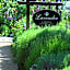 Lavender, A Four Sisters Inn