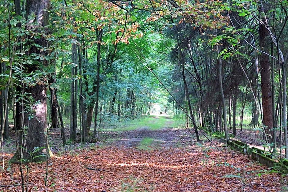 Country Hotel Castelbarco