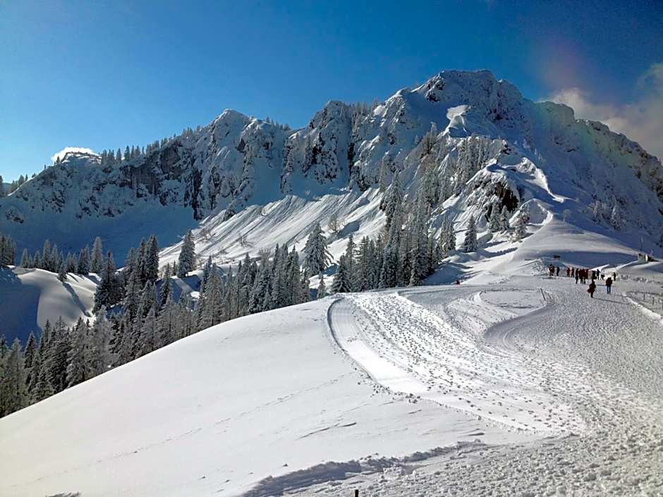 Apparthotel Garni Superior Simsseeblick