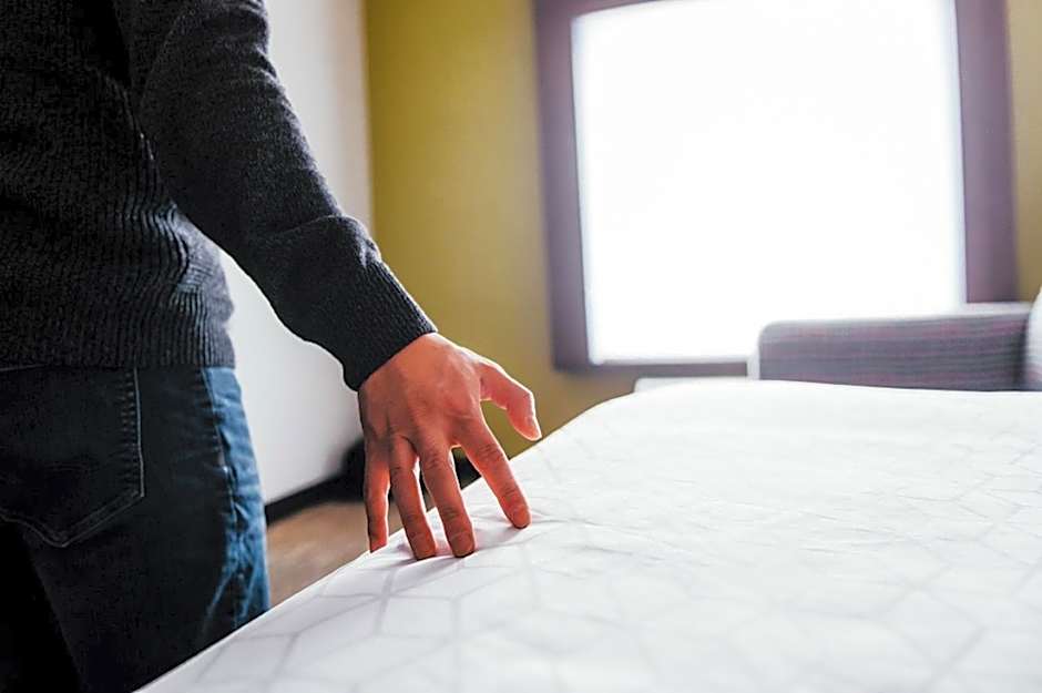 Holiday Inn Express Sarnia - Point Edward By IHG