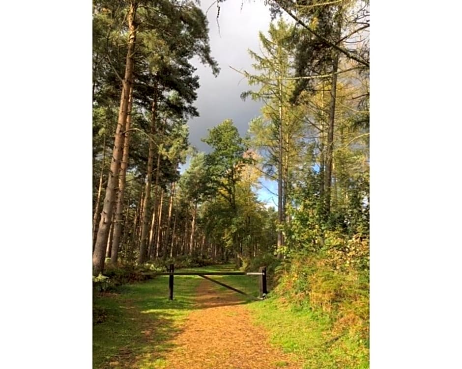 Hollicarrs - Woodland Lodge