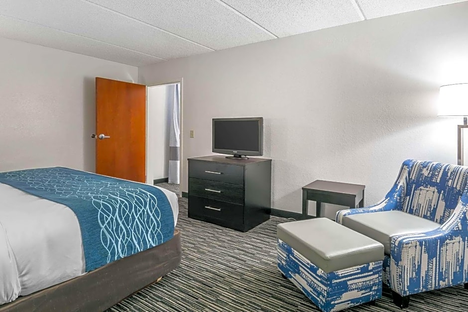 Comfort Inn University Gainesville