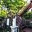 Xin Yuan My Dream Castle