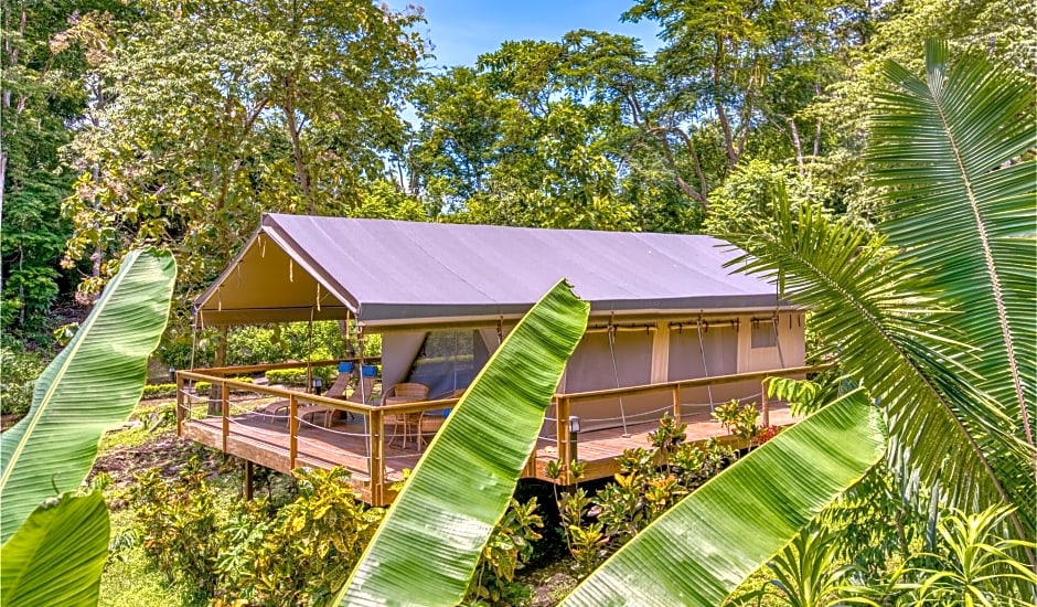 Isla Chiquita Gampling