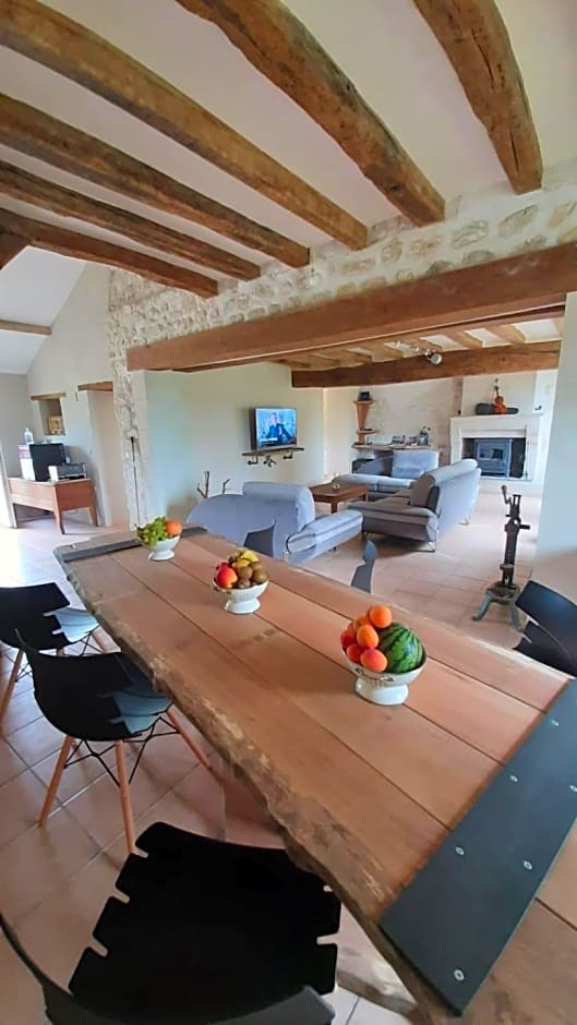 La BerryCurienne proche du Zoo de Beauval Saint-Aignan avec SDB, WC ET SPA PRIVATIF pour chaque chambre