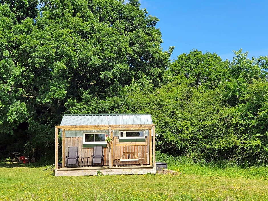 Dartmoor Reach Alpaca Farm