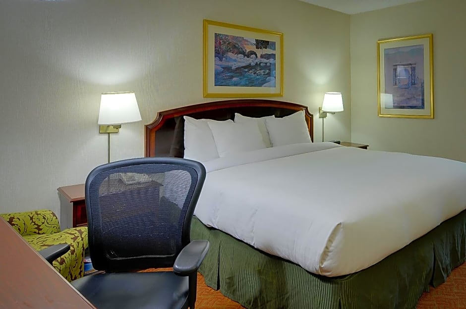 Vagabond Inn Executive SFO