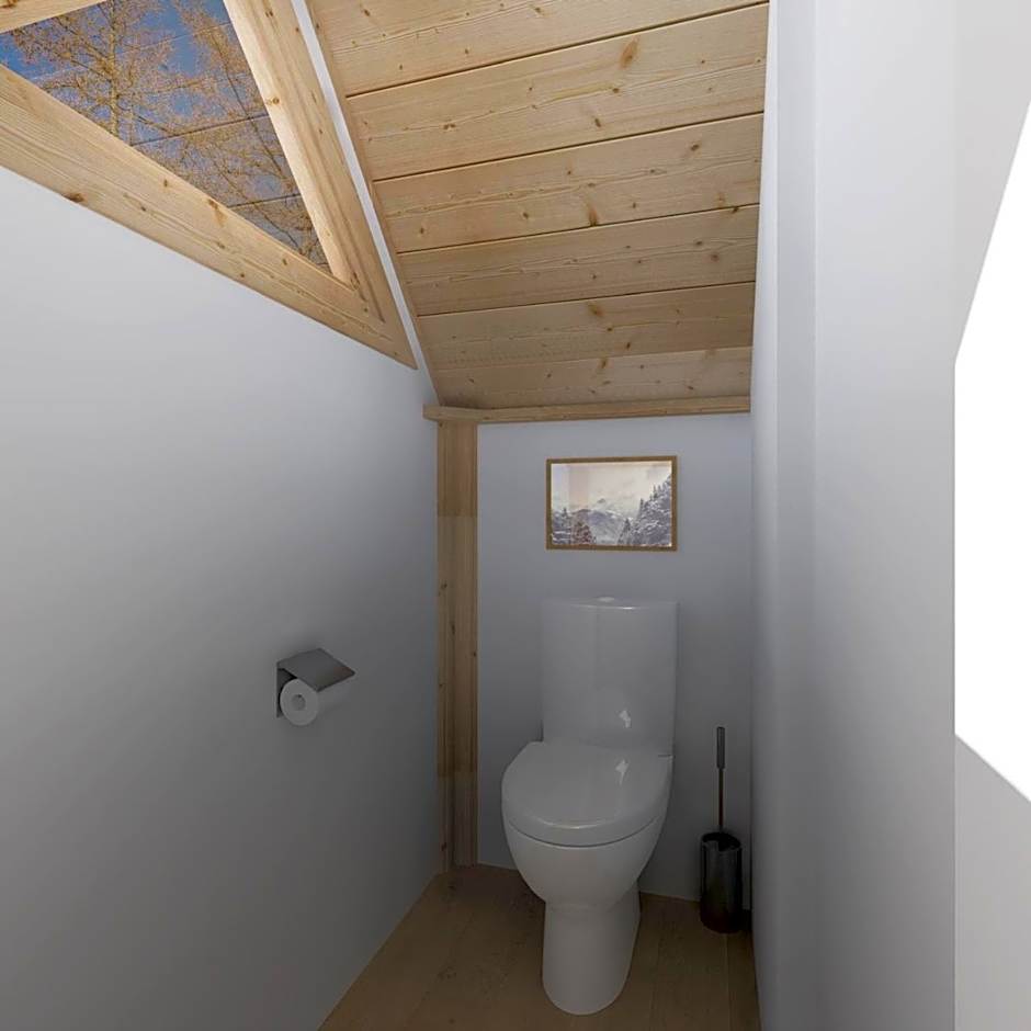 Alpin D'Hôme Hôtel & Spa