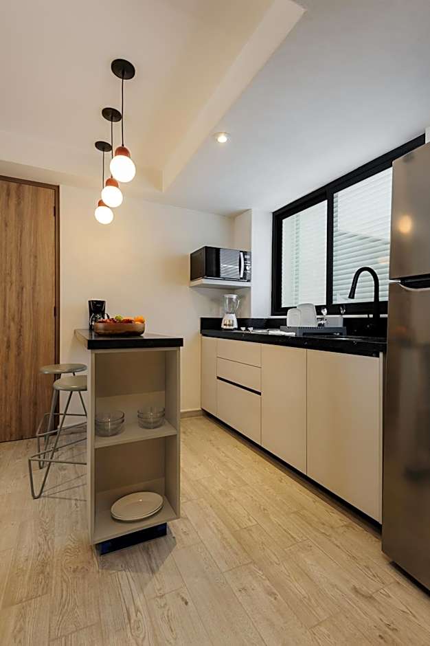 Choapan 28 - Lux Apartments in Condesa