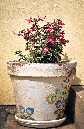 Domki na Mazurach Kurka Wodna